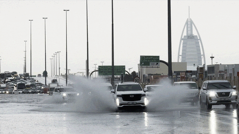 Chú mèo bám víu tay nắm cửa ô tô giành giật sự sống giữa Dubai ngập nặng- Ảnh 2. Dubai trở thành