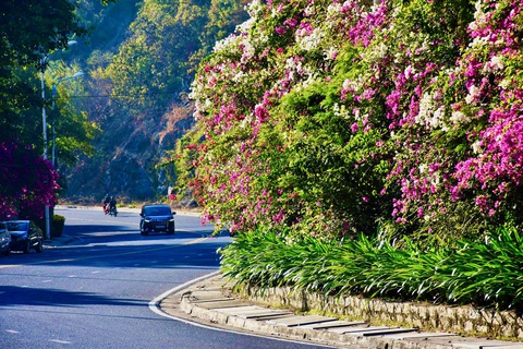 Địa điểm hấp dẫn khám phá Nha Trang dịp nghỉ lễ 30-4 và 1-5- Ảnh 12. Điểm đầu chân đèo Phạm Văn Đồng là những giàn hoa giấy mọc trên vách đá - Ảnh: MINH CHIẾN