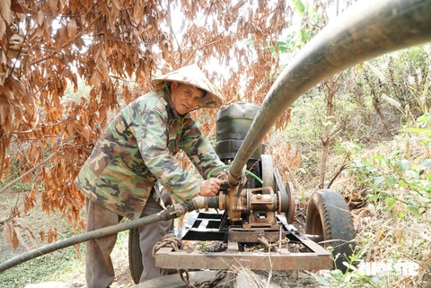 Hạn hán Tây Nguyên: Nông dân tổng lực tìm nguồn nước tưới cây- Ảnh 4. Ông Nguyễn Văn Liên mua 100 giờ bơm nước (120.000 đồng/giờ) để tưới lướt chống hạn cho cây cà phê