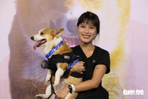 Corgi mũm mĩm thi marathon, nhiều chú quên cả chạy- Ảnh 3. Nhiều người tham dự đều không giấu được tiếng cười sảng khoái khi thấy các bé chó chân ngắn, thân người tròn mũm mĩm đang bày đủ trò ngộ nghĩnh - Ảnh: BÌNH MINH