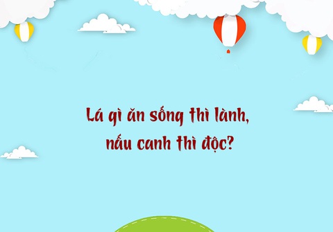 Câu đố hack não: Cá gì dè bỉu suốt ngày?- Ảnh 3. Câu đố hack não: Cá gì dè bỉu suốt ngày?- Ảnh 3.