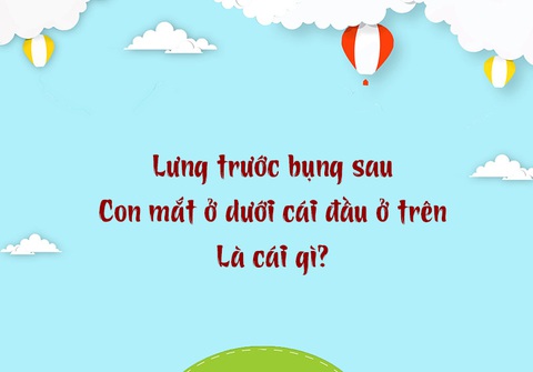 Câu đố hack não: Con gì miệng rộng nhưng không nói một từ?- Ảnh 3. Câu đố hack não: Con gì miệng rộng nhưng không nói một từ?- Ảnh 3.