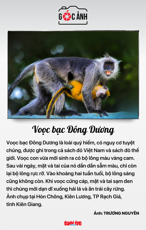 Tin tức sáng 22-4: Triển lãm ô tô ở Việt Nam 'kém vui', hãng xe rút lui; Ca sởi đầu tiên tại Hà Nội- Ảnh 5. Tin tức sáng 22-4: Triển lãm ô tô ở Việt Nam 'kém vui', hãng xe rút lui; Ca sởi đầu tiên tại Hà Nội- Ảnh 5.