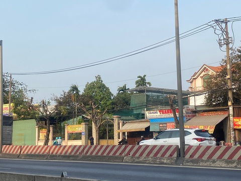 Cắt tỉa cây xanh mùa nắng nóng: Chỉ còn cây chẳng còn 'xanh'- Ảnh 1. Một số cây xanh bị cắt trụi, gần như không còn lá - Ảnh: HỒNG ĐIỆP