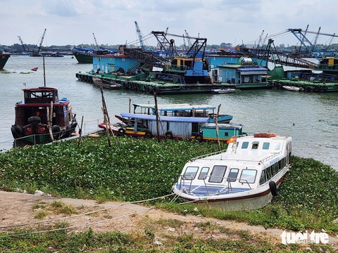 Sông Tiền ra sao mà tàu Hàng Châu chạy ẩu gây tai nạn chết người?- Ảnh 1. Tàu Hàng Châu bị đưa vào bờ để phục vụ điều tra - Ảnh: BỬU ĐẤU