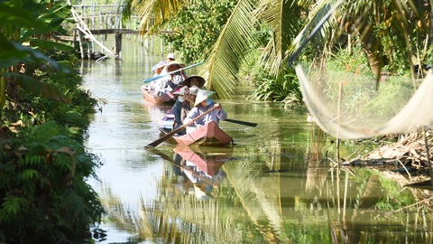 Du lịch Tây Nam Bộ: Ngổn ngang trăn trở- Ảnh 1. Khách du lịch tham quan vườn cây ăn trái ở tỉnh Hậu Giang - Ảnh: HẢI QUỲNH