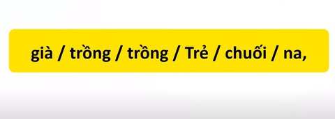 Thử tài tiếng Việt: Sắp xếp các từ sau thành câu có nghĩa (P70)- Ảnh 3. Thử tài tiếng Việt: Sắp xếp các từ sau thành câu có nghĩa (P70)- Ảnh 3.