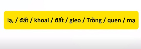 Thử tài tiếng Việt: Sắp xếp các từ sau thành câu có nghĩa (P71)- Ảnh 3. Thử tài tiếng Việt: Sắp xếp các từ sau thành câu có nghĩa (P71)- Ảnh 3.