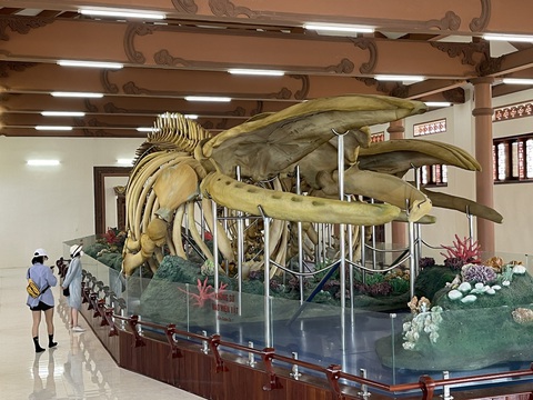 Đi Lý Sơn, nhớ chiêm ngưỡng bộ xương cá voi lớn nhất Việt Nam- Ảnh 3. Lăng Tân trở thành điểm đến thu hút du khách ở Lý Sơn - Ảnh: TRẦN MAI