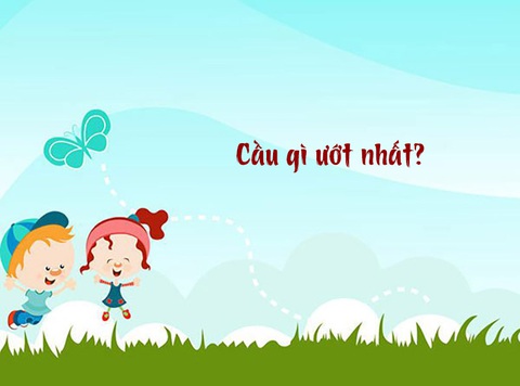 Câu đố hack não: Cầu gì ướt nhất?- Ảnh 1. Câu đố hack não: Cầu gì ướt nhất?- Ảnh 1.