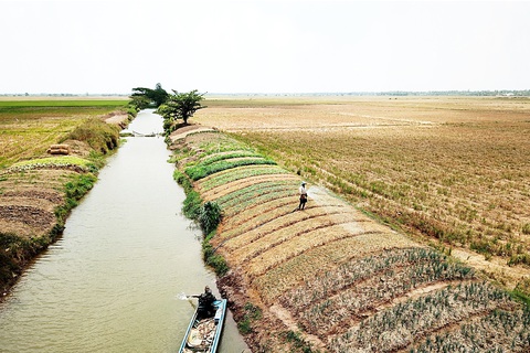 Nhiều cánh đồng ở huyện Long Phú (Sóc Trăng) người dân không dám trồng lúa mà chỉ tận dụng trồng rau màu bởi nhiều tuyến kênh bị nước mặn xâm nhập - Ảnh: CHÍ QUỐC Nhiều cánh đồng ở huyện Long Phú (Sóc Trăng) người dân không dám trồng lúa mà chỉ tận dụng trồng rau màu bởi nhiều tuyến kênh bị nước mặn xâm nhập - Ảnh: CHÍ QUỐC
