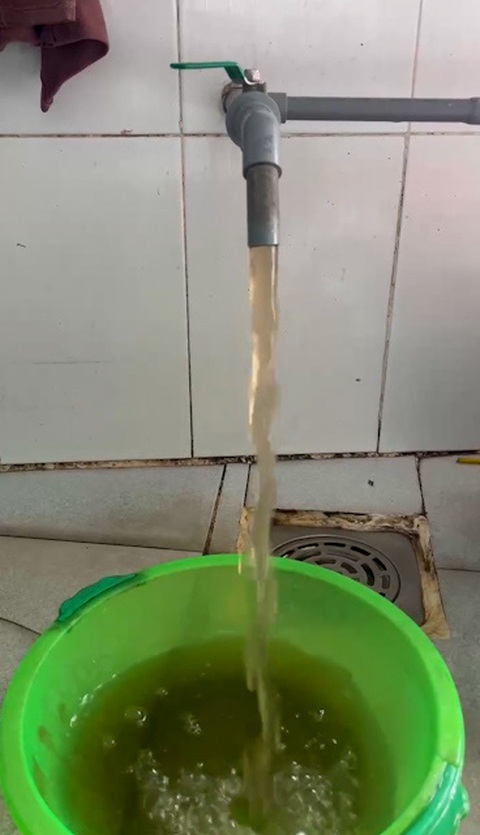 Mua nước sinh hoạt nhưng nước qua vòi đục như nước ruộng- Ảnh 1. Nhiều hộ dân ở thôn Mỹ Hiệp, Mỹ Tân 1 và 2 của xã Thanh Hải mua nước sinh hoạt, nhưng lại nhận được nước đục như... nước ruộng - Ảnh: Người dân cung cấp