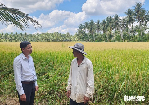 Giữa mùa xâm nhập mặn, đất Trà Vinh vẫn phì nhiêu nhờ phòng bị tốt- Ảnh 2. Phòng Nông nghiệp và Phát triển nông thôn huyện Tiểu Cần hướng dẫn ông Sanh ứng phó hạn mặn khi lúa sắp chuẩn bị thu hoạch - Ảnh: HOÀI THƯƠNG