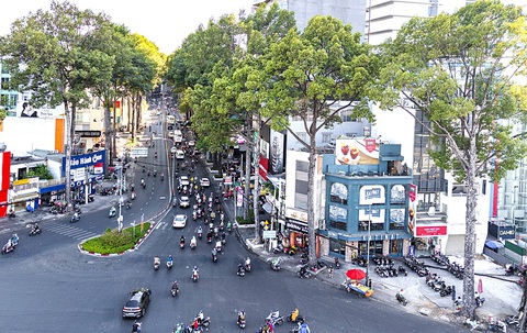 Cần hạn chế đốn hạ cây xanh khi xây dựng các công trình - Ảnh 2. Hàng cây dầu đầu đường 3 Tháng 2, quận 10, TP.HCM nằm trong diện bị đốn hạ để làm tuyến metro số 2 - Ảnh: CHÂU TUẤN