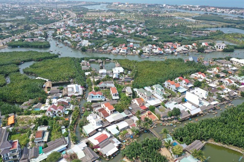 Để rừng dừa bị phá, cán bộ xin nghỉ việc nhưng thành phố Hội An không cho- Ảnh 2. Một góc rừng dừa Cẩm Thanh - Ảnh: B.D.