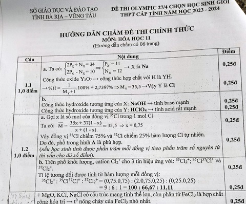 Lùm xùm kỳ thi học sinh giỏi hóa, Sở Giáo dục và Đào tạo tỉnh Bà Rịa - Vũng Tàu nói gì?- Ảnh 3. Hướng dẫn chấm thi học sinh giỏi hóa tỉnh Bà Rịa - Vũng Tàu