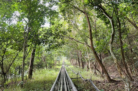 Đột ngột nghỉ việc, rồi rách ví vì đi chữa lành- Ảnh 2. Đường dài cuộc sống không thể tránh khỏi khó khăn cùng những điều không như ý - Ảnh minh họa: YẾN TRINH