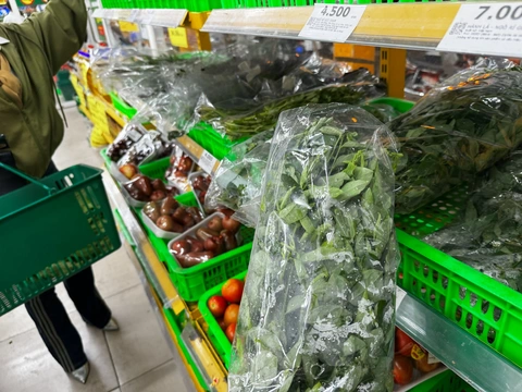 Rau ngót chứa nguồn đạm thực vật quý, nhưng ai nên hạn chế ăn?- Ảnh 1. Rau ngót là loại rau phổ biến, dễ tìm, chứa nguồn đạm thực vật lớn tốt cho tim mạch - Ảnh: THU HIẾN