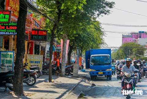 650 cây xanh mất an toàn ở TP.HCM được thay thế trước mùa mưa 2024- Ảnh 1. Đa số cây xanh dọc tuyến đường Trường Chinh (quận Tân Bình) nằm trong diện phải đốn hạ để làm dự án metro số 2 - Ảnh: CHÂU TUẤN