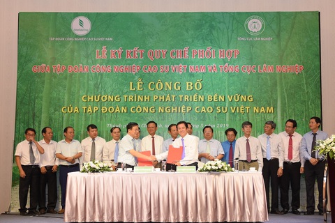 Cao su Việt Nam: Tăng trưởng xanh và phát triển bền vững- Ảnh 2. Lễ công bố chương trình phát triển bền vững