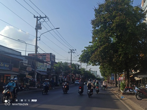 Những con đường xanh trân quý ở Trà Vinh quê hương tôi- Ảnh 3. Những con đường xanh trân quý ở Trà Vinh quê hương tôi- Ảnh 3.