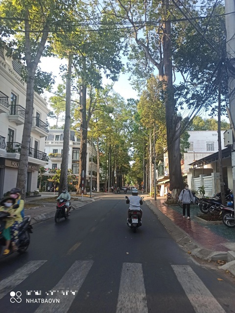 Những con đường xanh trân quý ở Trà Vinh quê hương tôi- Ảnh 5. Những con đường xanh trân quý ở Trà Vinh quê hương tôi- Ảnh 5.