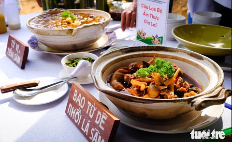 Đẳng sâm núi Ngọc Linh vào trăm món ngon đẳng cấp thế giới- Ảnh 1. Những món ngon từ đẳng sâm được chế biến bởi các đầu bếp CLB Ẩm thực Gia Lai - Ảnh: TẤN LỰC