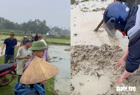 Ruộng lúa chết cháy nghi bị phá hoại, lão nông 'chết đứng'- Ảnh 3. Năm 2023, lực lượng chức năng từng tìm ra 11 chiếc chông sắt cắm dưới ruộng nhà ông Sỹ. Thửa ruộng này hiện tại ông Sỹ đang cho ông Đường mượn canh tác - Ảnh: Bạn đọc cung cấp