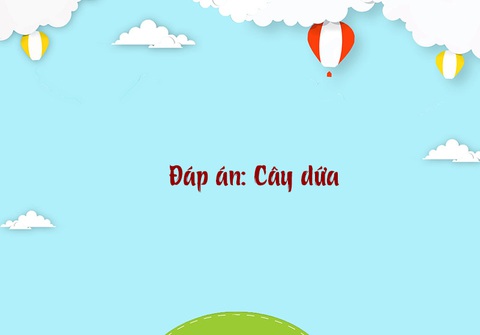 Câu đố hack não: Trên đá, dưới đá, ở giữa có cái lá vắt vẻo là gì?- Ảnh 4.