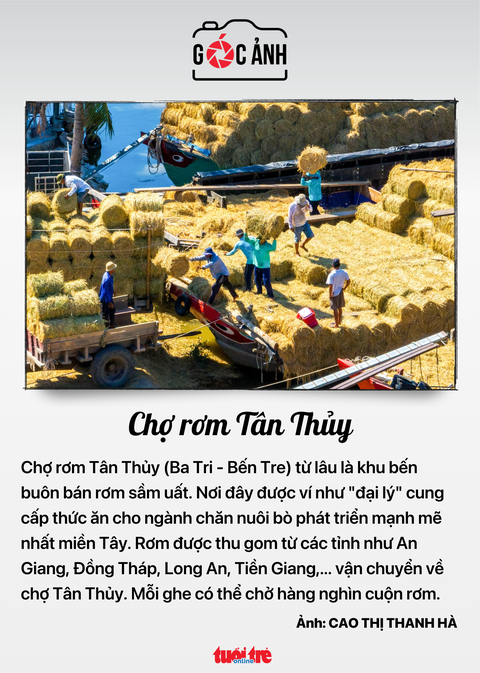 Tin tức sáng 27-4: Doanh nghiệp liên quan 'Shark Thủy' bị phạt vì ém thông tin- Ảnh 9. Chợ rơm Tân Thủy - Ảnh: CAO THỊ THANH HÀ