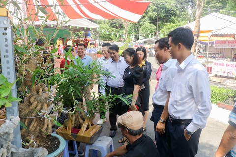 Săn cây cảnh, hoa kiểng độc lạ tại triển lãm 100 gian hàng- Ảnh 1. Khách tham quan thích thú ngắm các loại hoa kiểng, bonsai độc đáo - Ảnh: BTC