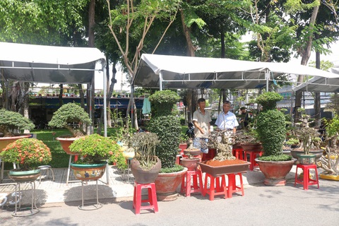 Săn cây cảnh, hoa kiểng độc lạ tại triển lãm 100 gian hàng- Ảnh 3. Nhiều bonsai với đủ kích cỡ, chủng loại... được mang đến dự thi, bày bán - Ảnh: BTC