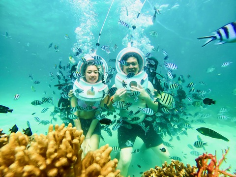 Du khách trải nghiệm hoạt động đi bộ dưới biển Nha Trang - Ảnh: VIET ASIAN Du khách trải nghiệm hoạt động đi bộ dưới biển Nha Trang - Ảnh: VIET ASIAN