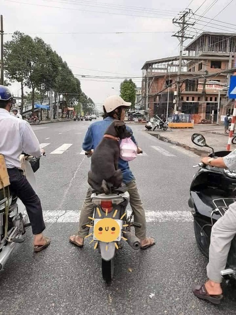 Ảnh vui 28-4: Bài toán 'cho kẹo' khiến cư dân mạng... nổ não- Ảnh 5. Sủa một cái là hai đứa nhịn ăn nha!