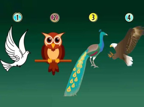 Quiz: Loài chim yêu thích tiết lộ bí ẩn về con người bạn- Ảnh 1. Quiz: Loài chim yêu thích tiết lộ bí ẩn về con người bạn- Ảnh 1.