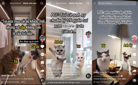 Trend 'chế' 2 chú mèo đối thoại âu yếm: 'Vô tri' nhưng truyền cảm hứng yêu đương- Ảnh 2. Các video mèo