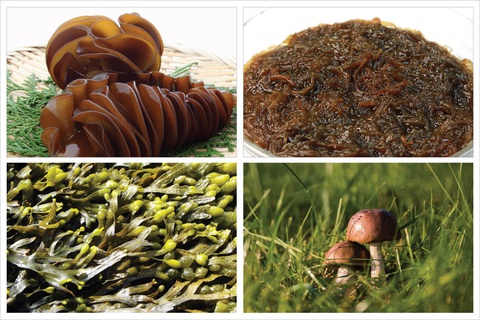 Giảm tác hại của hóa xạ trị nhờ tăng cường hệ miễn dịch- Ảnh 2. Giảm tác hại của hóa xạ trị nhờ tăng cường hệ miễn dịch- Ảnh 2.
