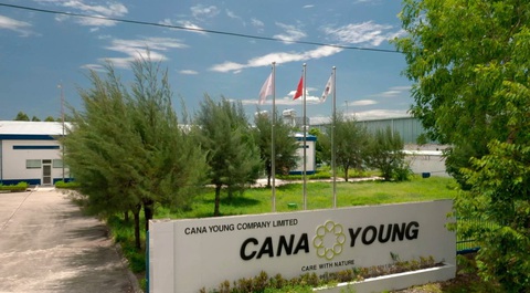 Cana Young và công ty Lotte Mart hợp tác phát triển- Ảnh 1. Cana Young và công ty Lotte Mart hợp tác phát triển- Ảnh 1.