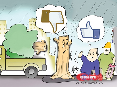 Cây xanh và kiểu tóc 'cực đoan'- Ảnh 2. Cây xanh dislike với