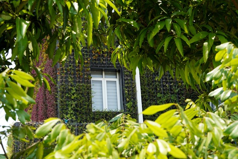 Ngắm 'pháo đài xanh', công sở 'chống nóng' độc đáo tại Quảng Bình- Ảnh 4. Như lạc giữa khu rừng nhiệt đới - Ảnh: QUỐC NAM