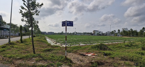 Hai khu đất làm trường học ở Cần Thơ đấu giá nhưng không ai mua- Ảnh 1. Khu đất xây dựng trường học ở quận Cái Răng, TP Cần Thơ thông báo đấu giá nhiều lần nhưng chưa có người tham gia - Ảnh: LÊ DÂN