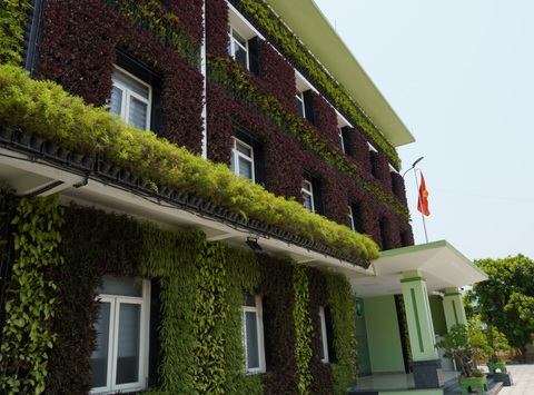 Ngắm 'pháo đài xanh', công sở 'chống nóng' độc đáo tại Quảng Bình- Ảnh 7. Những mảng xanh mướt mắt khiến người xem liên tưởng đến rừng nhiệt đới giữa lòng thành phố