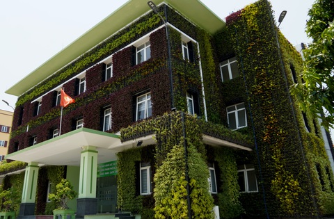 Ngắm 'pháo đài xanh', công sở 'chống nóng' độc đáo tại Quảng Bình- Ảnh 2. Toàn bộ trụ sở được phủ xanh tạo ra không gian xanh mát và khác biệt với các trụ sở khác - Ảnh: QUỐC NAM