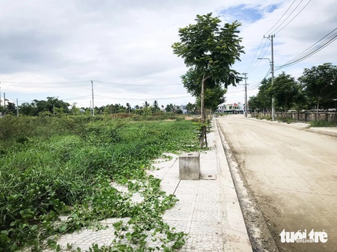 Thanh tra đột xuất dự án bất động sản 'dây thun' ở Quảng Nam- Ảnh 3. Hiện trạng bừa bộn, cỏ mọc um tùm tại dự án khu dân cư số 1 mở rộng, phường Điện An, thị xã Điện Bàn - Ảnh: V.V.