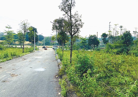Dẹp loạn Đất nền ngoại thành Hà Nội đến nay vẫn đang ế ẩm, vắng bóng nhà đầu tư sau thời gian “sốt ảo” (ảnh chụp tại xã Tiến Xuân, huyện Thạch Thất) - Ảnh: QUANG THẾ