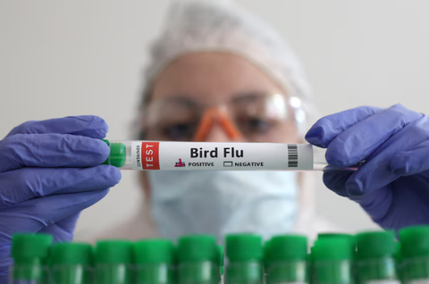 A person holds a test tube labelled Nhân viên y tế cầm ống nghiệm đánh dấu