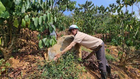 Mỏ đá nổ mìn làm sập cầu, nhà tạm của người dân- Ảnh 4. Đá lăn xuống vườn nhà dân sau vụ nổ mìn - Ảnh: L.A.
