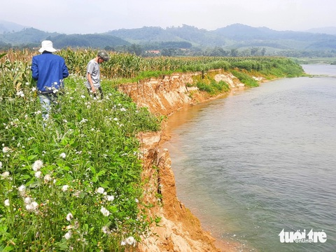Đất sản xuất bị 'ngoạm' dần vì sạt lở bờ sông Ngàn Phố- Ảnh 1. Bờ sông Ngàn Phố sạt lở mỗi năm lấn vào bãi Bè 10-15m - Ảnh: LÊ MINH