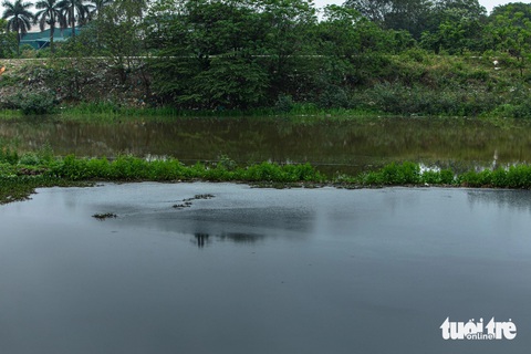 Ô nhiễm đến 'ngộp thở' ở cụm công nghiệp, làng nghề ở Bắc Ninh- Ảnh 9. Nước thải từ cơ sở sản xuất ở làng giấy Phong Khê đổ ngay cạnh bờ sông Ngũ Huyện Khê