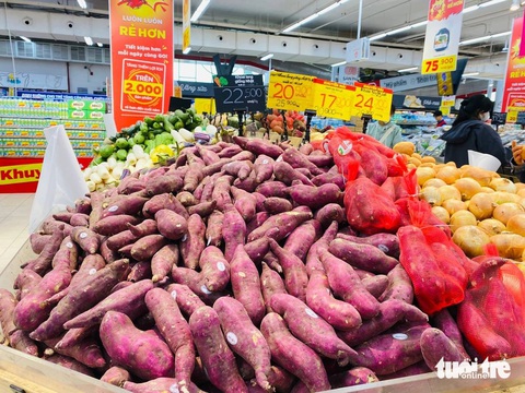 Khoai lang tại ruộng rớt giá, siêu thị vẫn bán vài chục ngàn đồng 1kg, vì sao?- Ảnh 1. Một siêu thị lớn tại miền Trung đang bán khoai lang Đà Lạt với giá niêm yết ngày 5-4 là 22.500 đồng/kg - Ảnh: T.L.